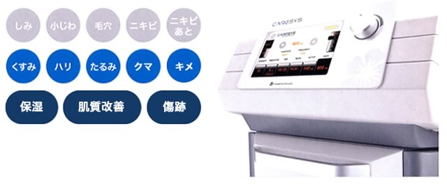 CARESYS(ケアシス)の特徴