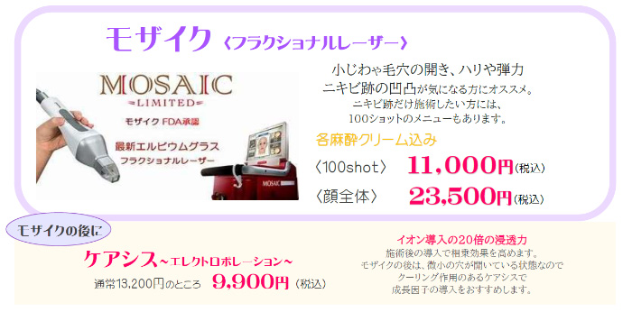 モザイクキャンペーン